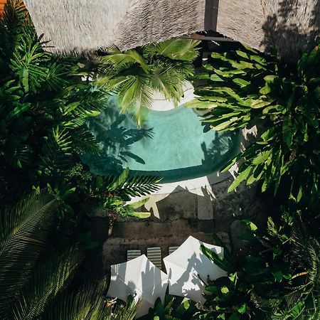 Conga Boutique Hotel Puerto Viejo de Talamanca 외부 사진