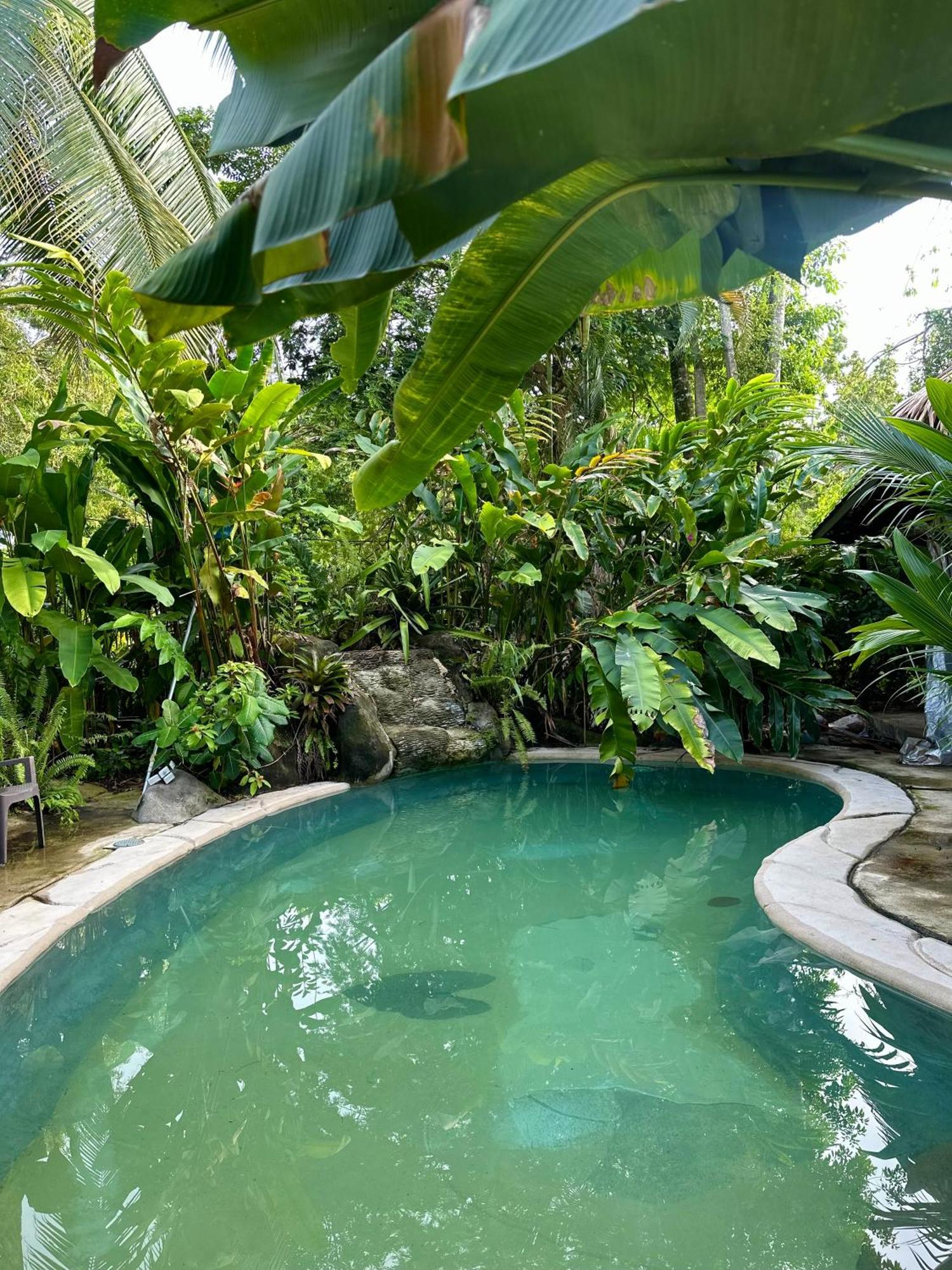 Conga Boutique Hotel Puerto Viejo de Talamanca 외부 사진