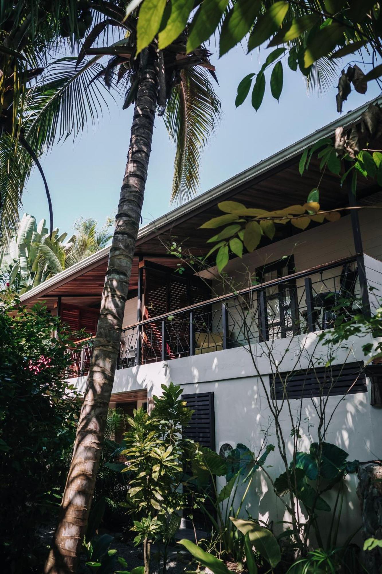 Conga Boutique Hotel Puerto Viejo de Talamanca 외부 사진