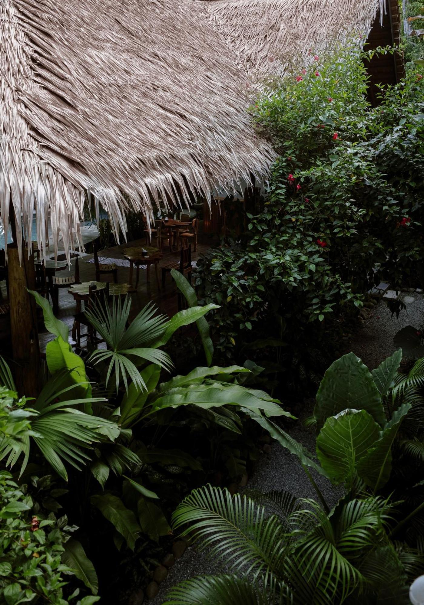 Conga Boutique Hotel Puerto Viejo de Talamanca 외부 사진