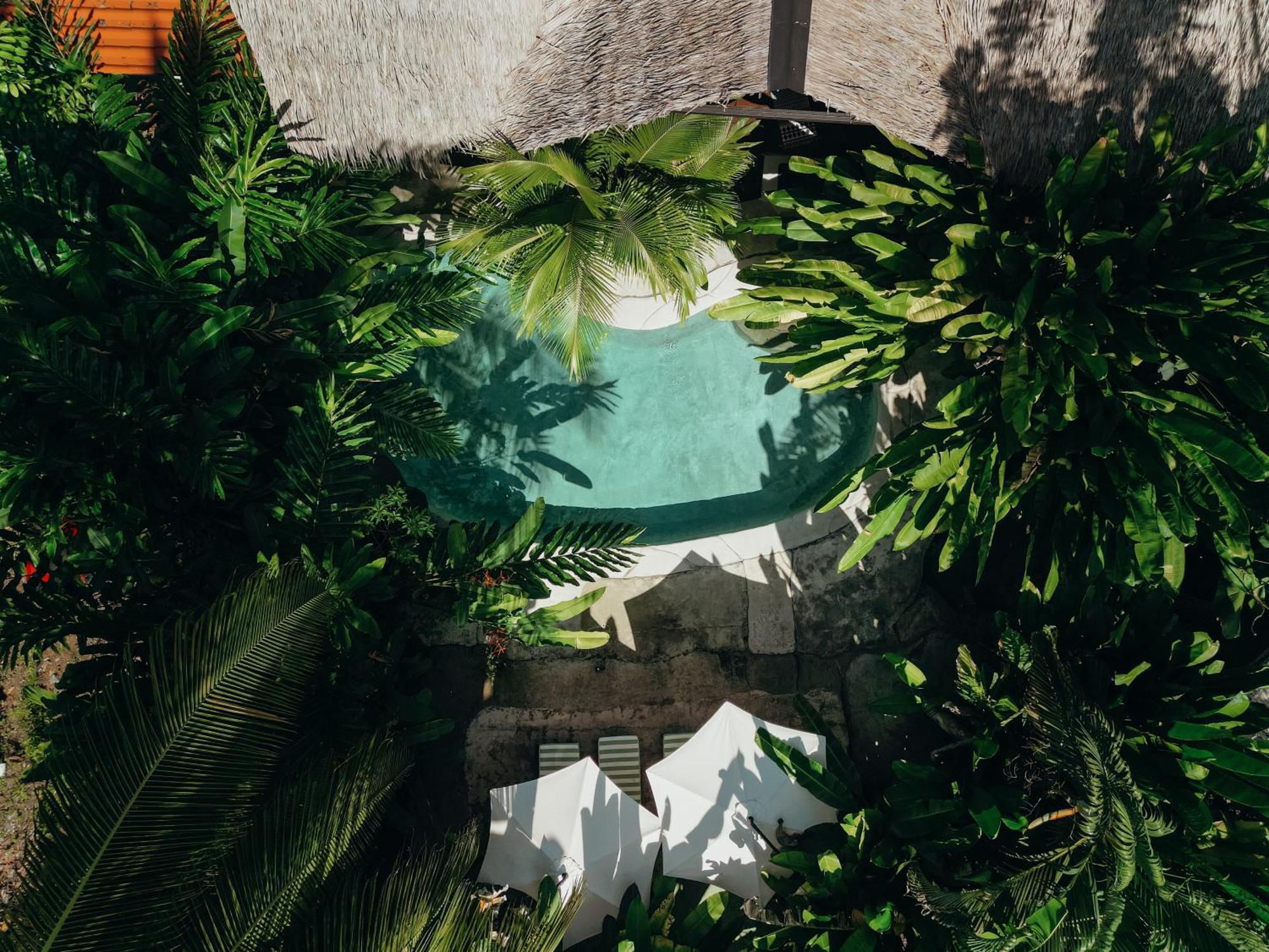 Conga Boutique Hotel Puerto Viejo de Talamanca 외부 사진