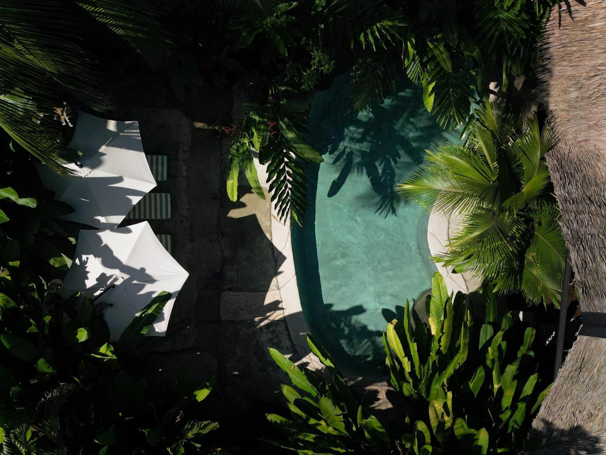 Conga Boutique Hotel Puerto Viejo de Talamanca 외부 사진