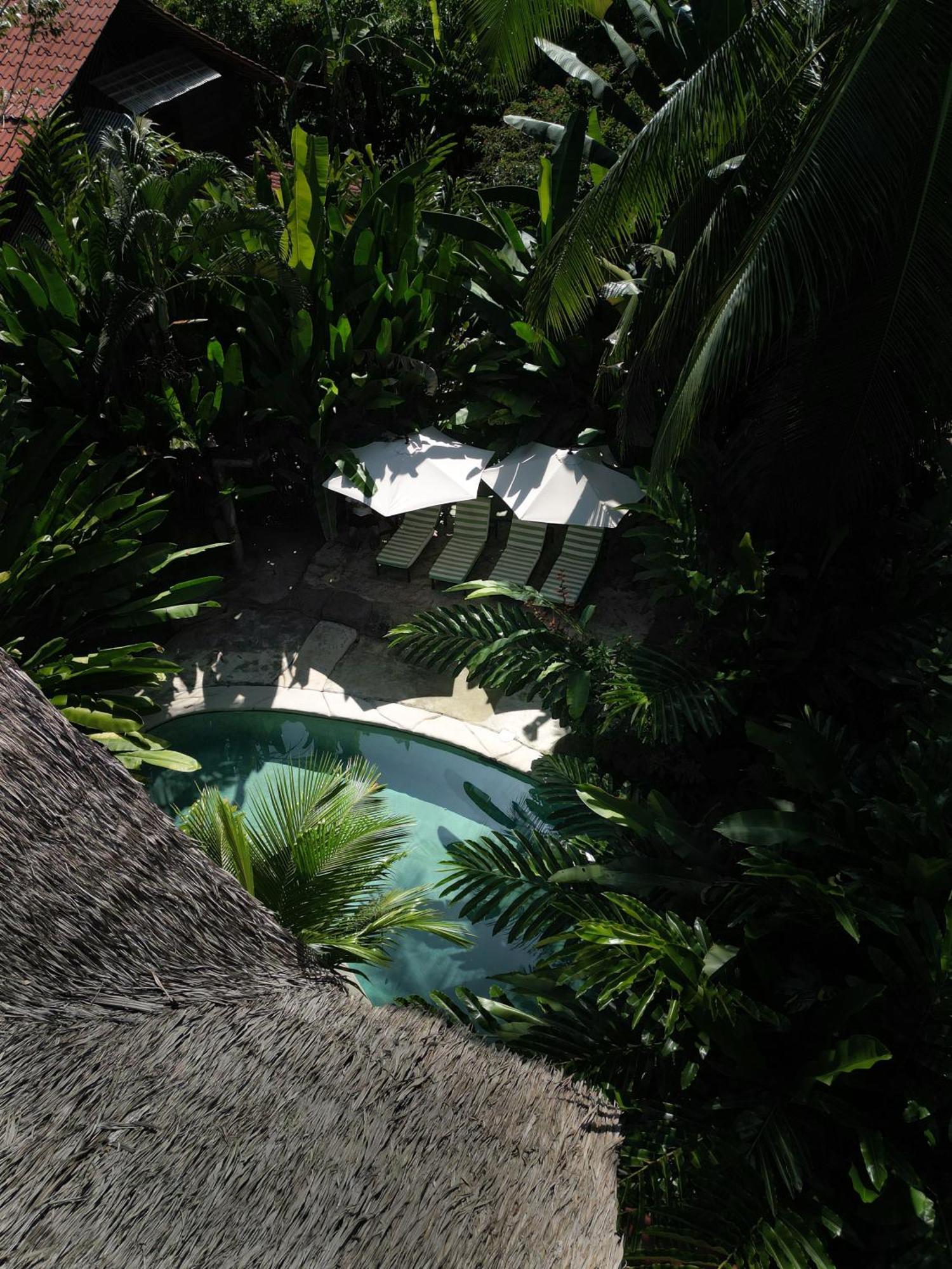 Conga Boutique Hotel Puerto Viejo de Talamanca 외부 사진